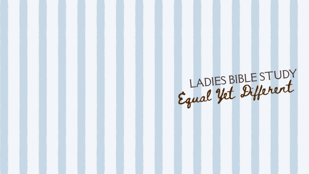 Ladies’ Bible Study Ladies’ Bible Study