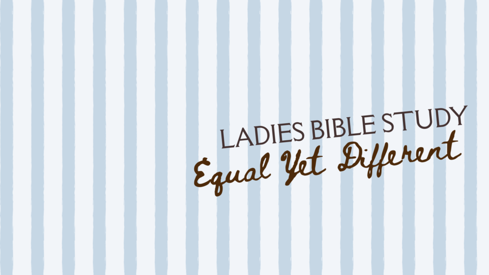Ladies’ Bible Study